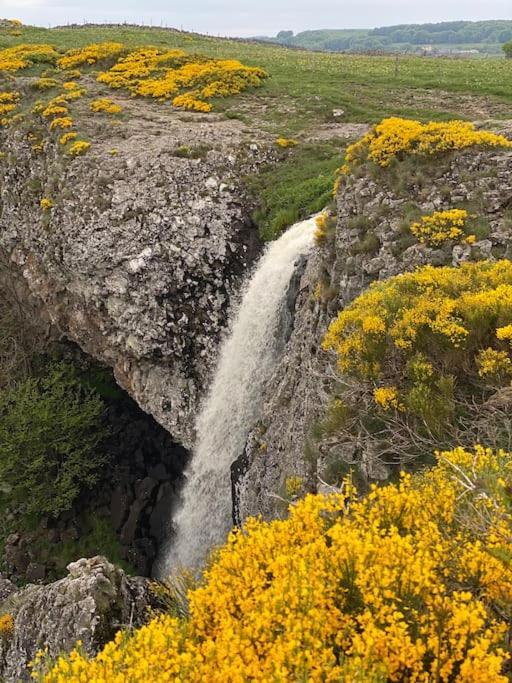 Buron Coeur D'aubrac Holiday home