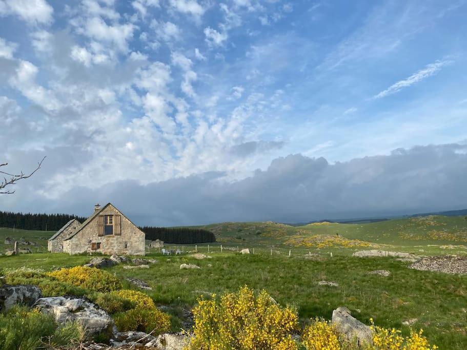 Buron Coeur D'aubrac * Marchastel (Lozere)