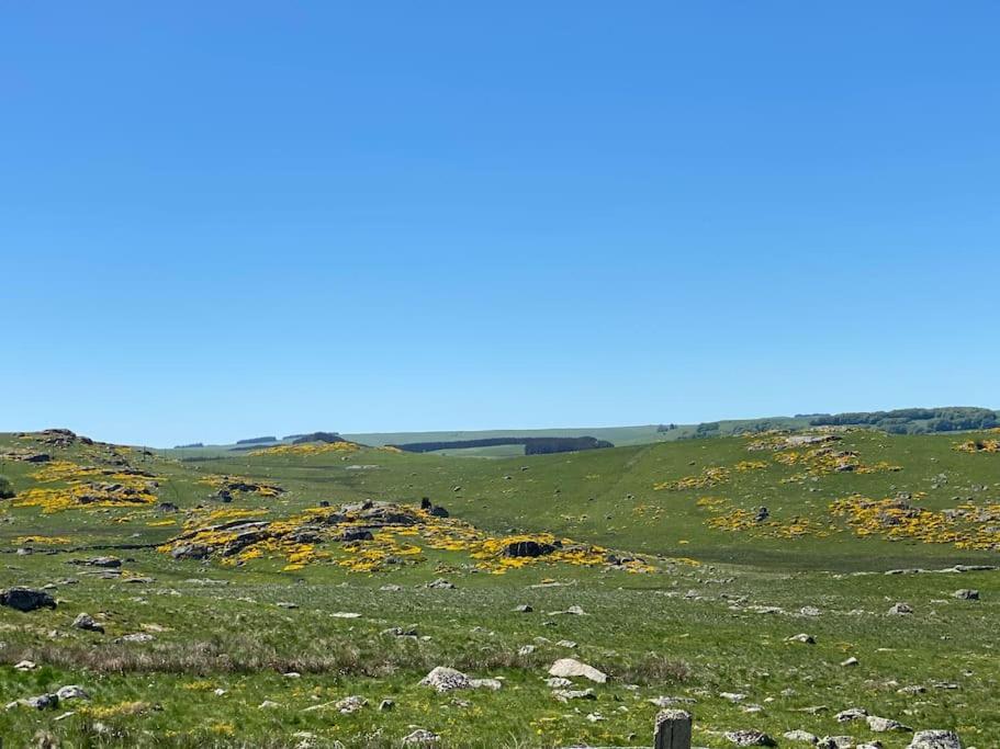 Holiday home Buron Coeur D'aubrac Marchastel (Lozere)