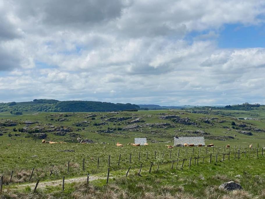 Buron Coeur D'aubrac Holiday home Marchastel (Lozere)
