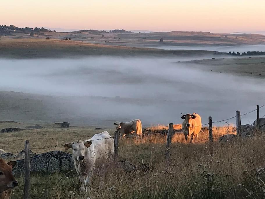 Buron Coeur D'aubrac Holiday home *